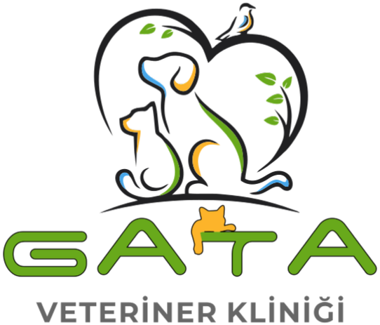 ankara veteriner kliniği