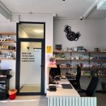 bodrum veteriner kliniği
