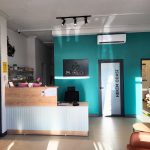 bodrum veteriner kliniği
